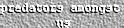 Predators amongst us