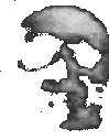 memento mori: remember, you, too, shall die